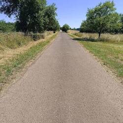 Roadwalking