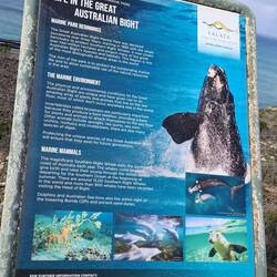 Head of the Bight