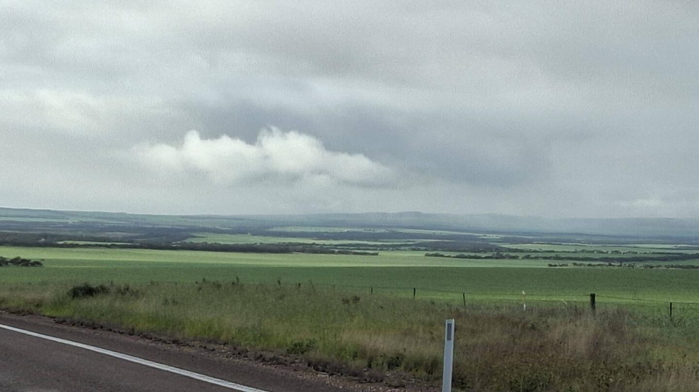 Heading to Kimba through wheatbelt - rain, water & green