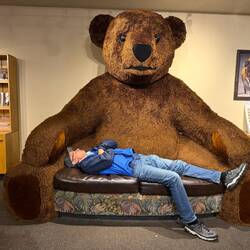 The bear is taking a nap! 🤣🤣🤣