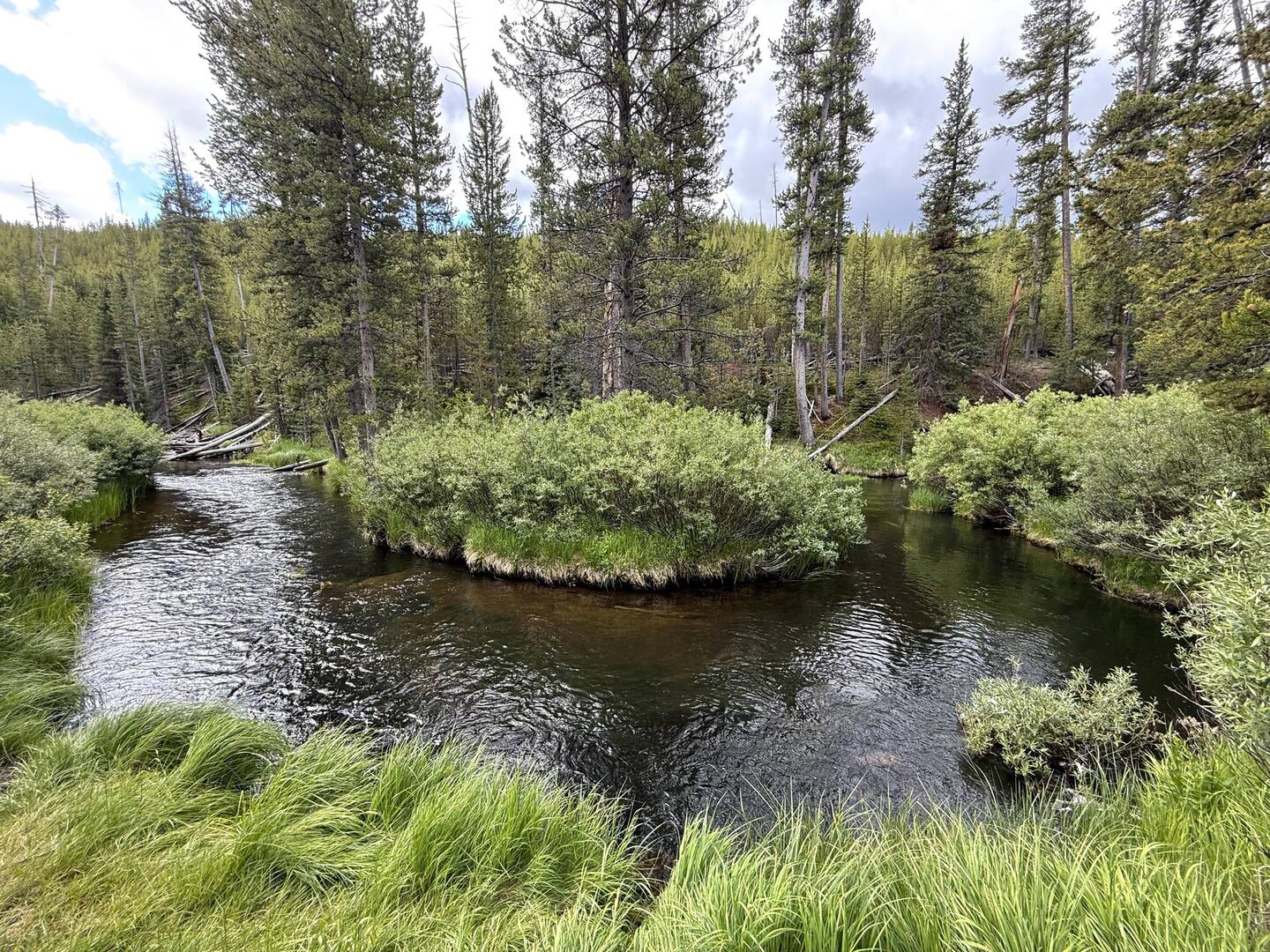 Gibbon River