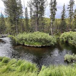 Gibbon River