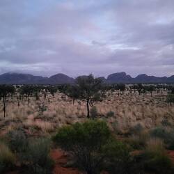 Fra udkigspunktet inden ankomst til Kata Tjuta