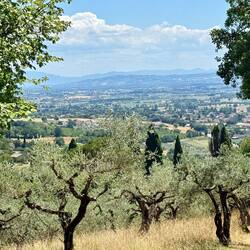 On the way to San Damiano