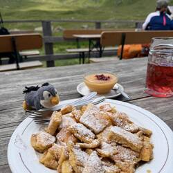 Der Kaiserschmarrn war auch wieder sehr gut 😋