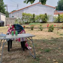 Our usual location during the heatwave - we followed the shade around the garden