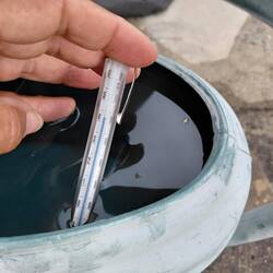 I filled the plastic watering can with water and it reached 42 degrees in 12 hours