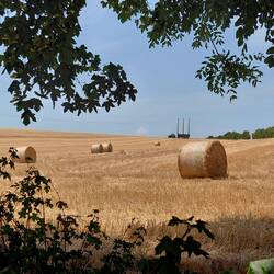 And the next day the baler came out. I guess its called 'making hay while the sun shines'