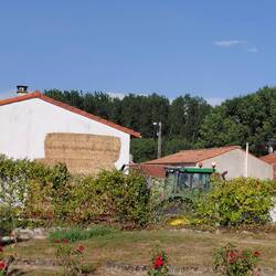 Some of the bales were moved by the tractor passing our front fence