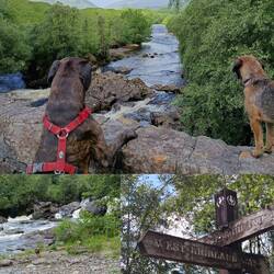 Stückchen auf dem West Highland Way