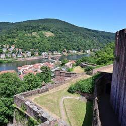 The River Neckar