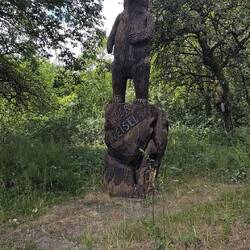 Waldbär