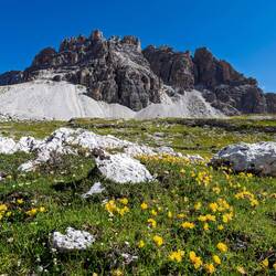 Near the Refugio Lavaredo.