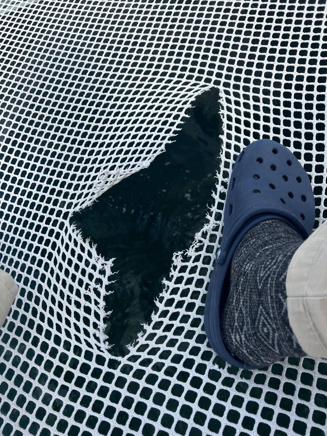 That could've ended worse. Turns out the material is UV-damaged beyond further usability.