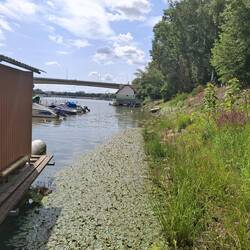 Hinten das Hausboot des Besitzers
