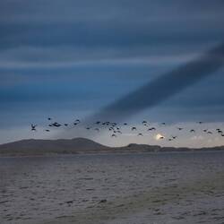 Birds and seals see me off.