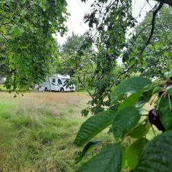 Womo unter reifen Kirschen im Pfarrgarten