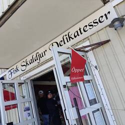 frischer Fisch in großer Auswahl