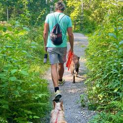 15 km Wanderung um viele Felsritzungen zu sehen.