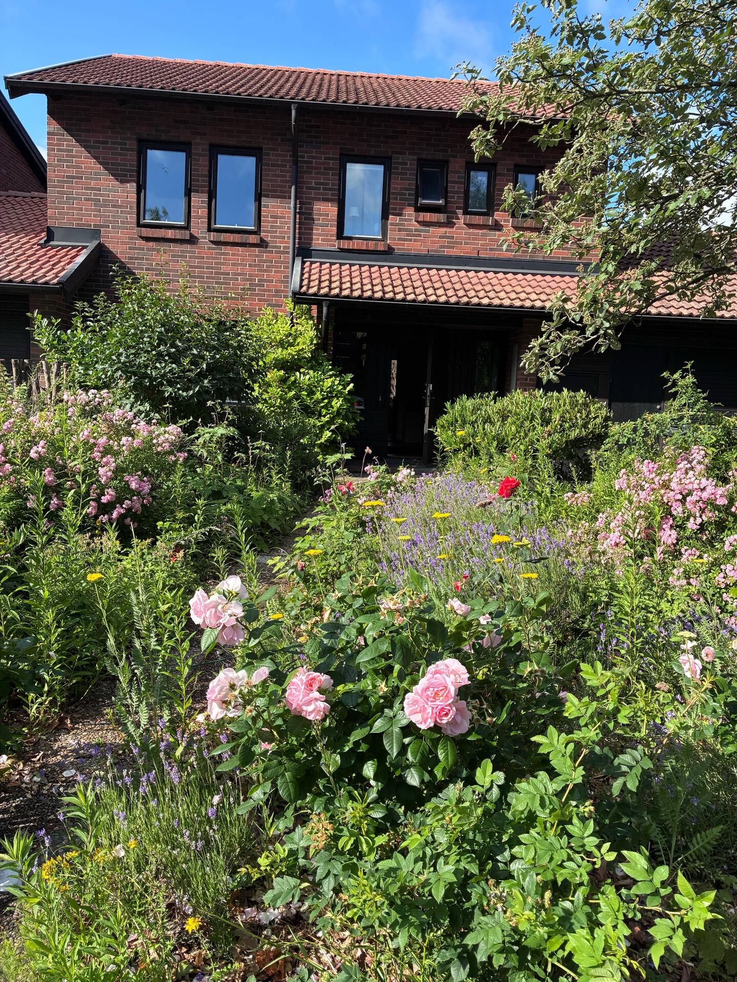 Our AirBNB