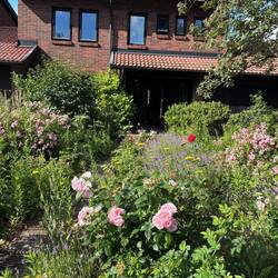 Our AirBNB