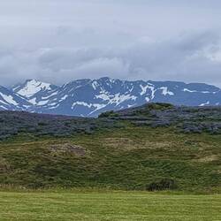 Mit freiem Blick auf die Berge und Lupinienfelder