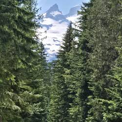 Peekaboo views of Mt Rainier at the White River entrance.