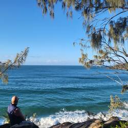 Dolphin point havde ingen delfiner i dag