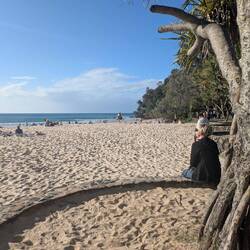 Lækker strand i Noosa. Var dey en hval eller en delfin der sprang?