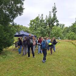 Station des Imkers im Pfarrgarten