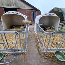 Station Bauernhof Jaeger - "Kindergarten" für junge Kälbchen