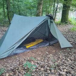 Und ich hab mich in den Wald geschlagen