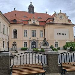 Podunajské múzeum (Donau-Museum)