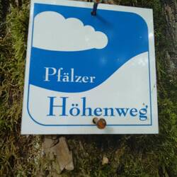 ein neuer Weg