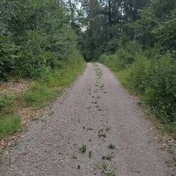 .....aber ich bin dem Veldenz Wanderweg weiter gefolgt