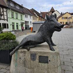 Kirchheimbolanden