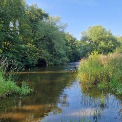 River Severn from my pitch in The Lion Inn camping field