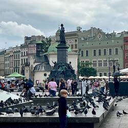 Quirliger Marktplatz mit Standbild des Heimatdichters Adam Mickiewicz