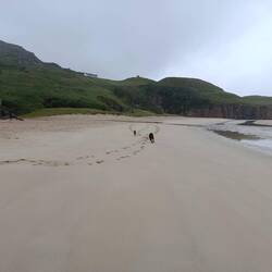 Beach Boys