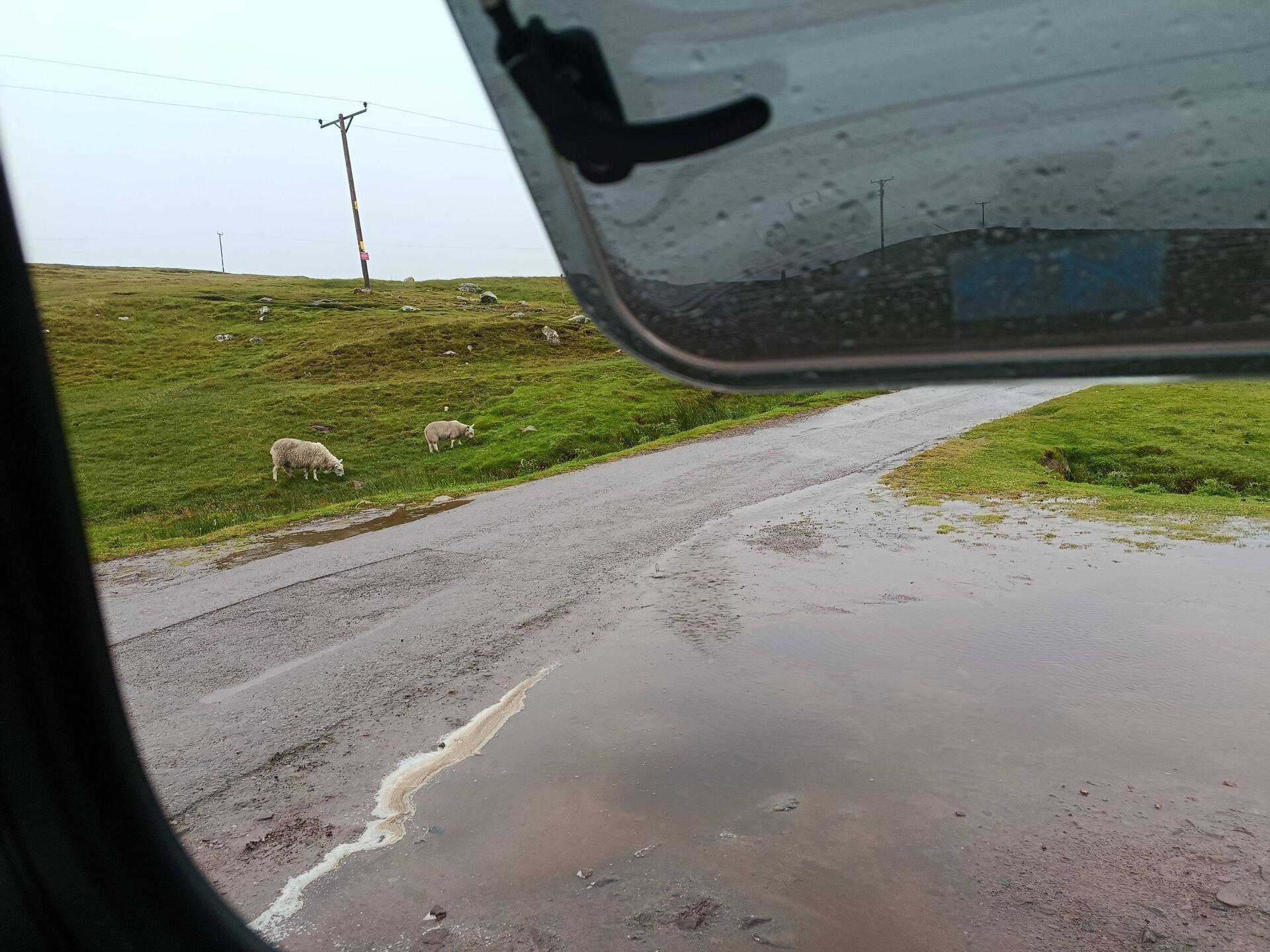 Heute schaut Gitta beim Frühstück vorbei, früh auf - 🌧️ Flucht