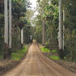 Jordvej på vej mod Hervey Bay