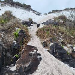 Sand dunen vi besteg set nedefra