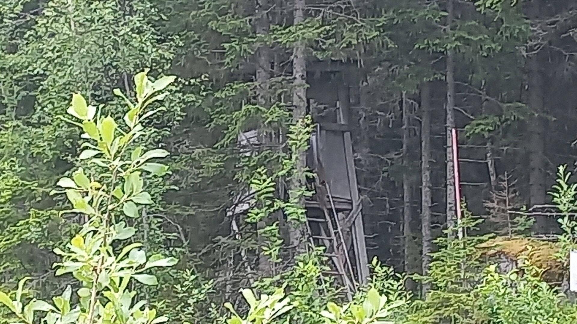Something gets hunted here. I wonder what.