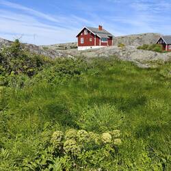 Väderoarnas / Weatherislands