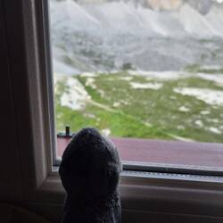 Pingu war auch schon ganz früh am Aussicht genießen