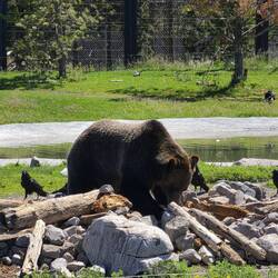 It didn't take long to find the food!