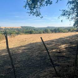 La campagne deux sévrienne avec la tour des carrières d'Airvault au fond