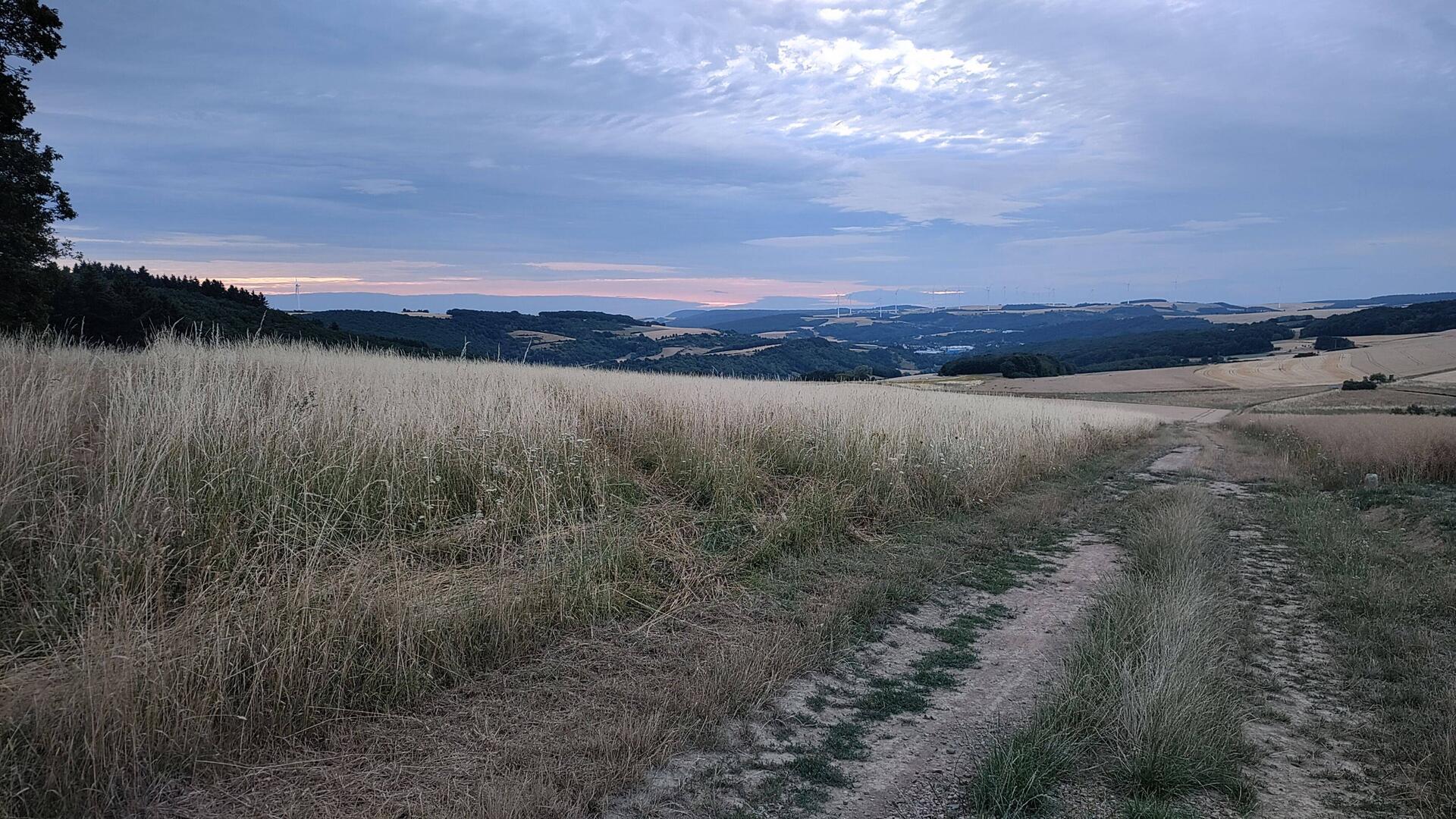 sunrise und wieder bedeckter Himmel 😉