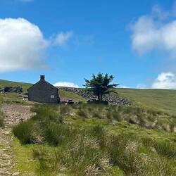 Greg's hut