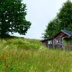 Abandoned cottage